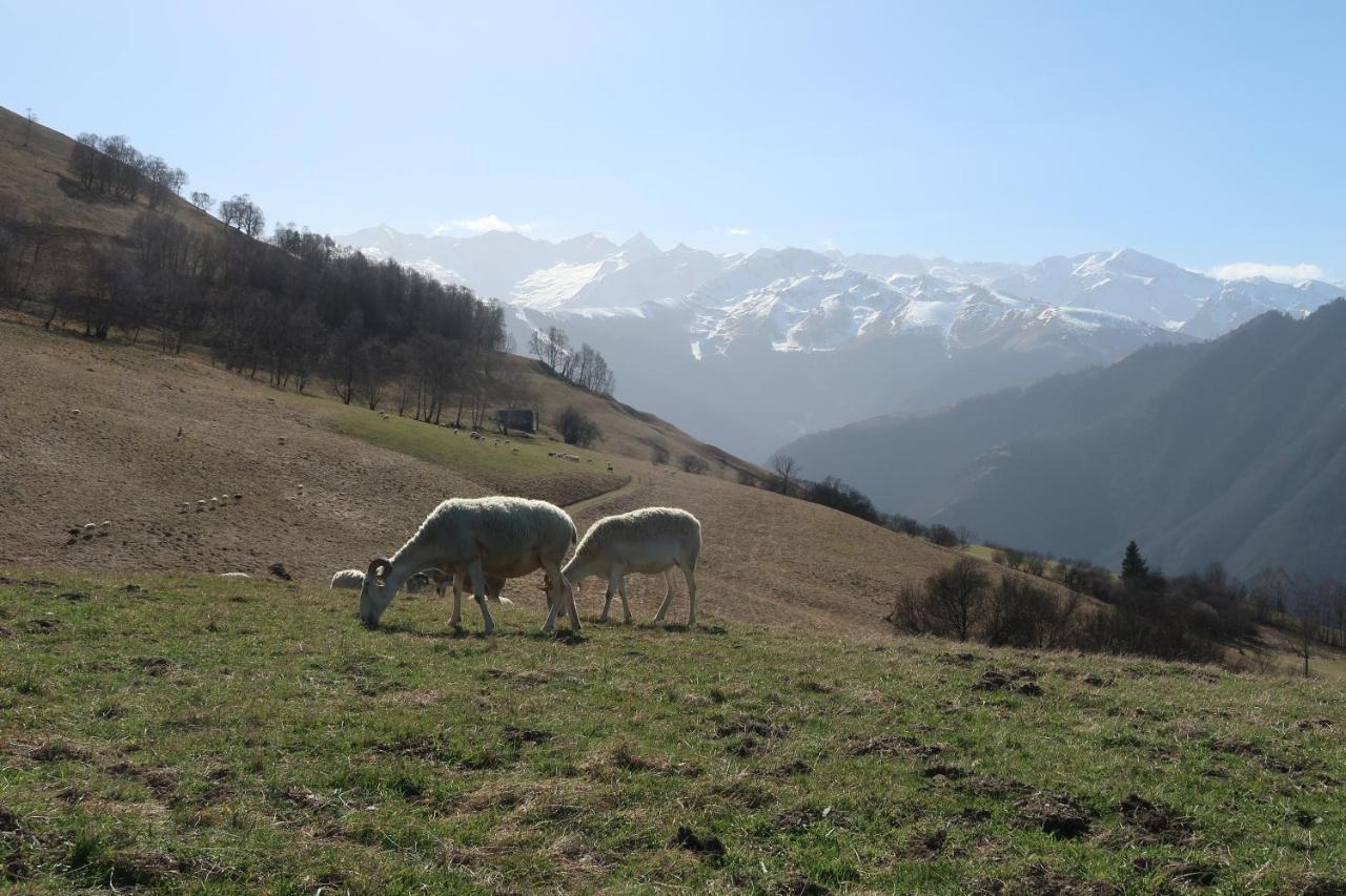 Studio Hyper Centre Lumineux Et Fonctionnel Luchon Bagnères-de-Luchon Exteriör bild